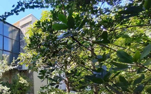 Appartement Zora Pula – Hébergement Pula Croatie