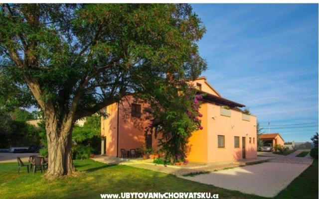 Appartements Viktor – Hébergement Pula Croatie