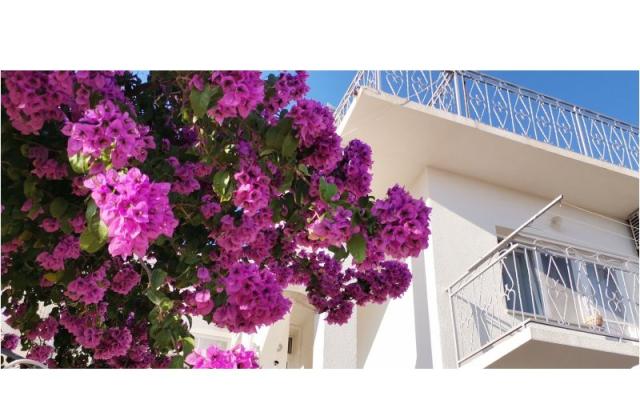 Appartement Mare – Hébergement Sibenik Croatie