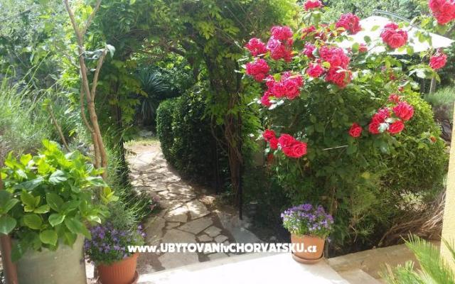 Vila Arboretum Šibenik – Hébergement Sibenik Croatie