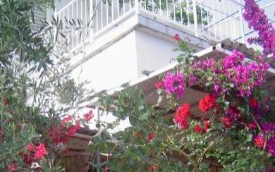 Appartements Zdravka -15% – Hébergement île Solta Croatie