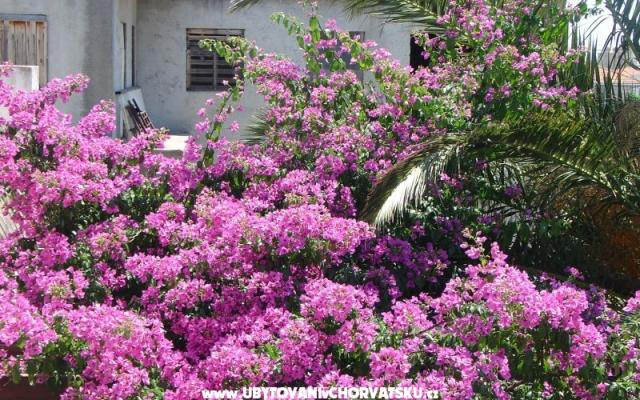 Appartement Mira – Hébergement Split Croatie