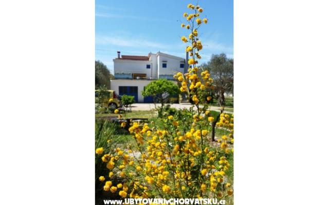 Appartement Marin – Hébergement Sveti Petar Croatie