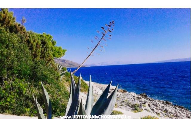 Goga Appartements – Hébergement Trogir Croatie