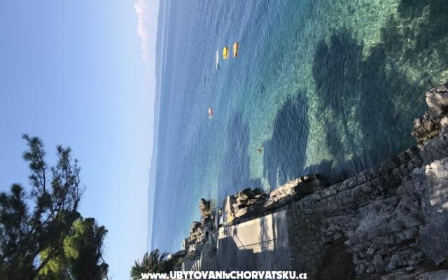 Appartements Trapanezi – Hébergement Trpanj – Peljesac Croatie