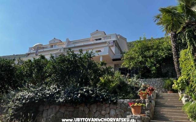 Vila Nautilus luxury Appartements – Hébergement Trpanj – Peljesac Croatie