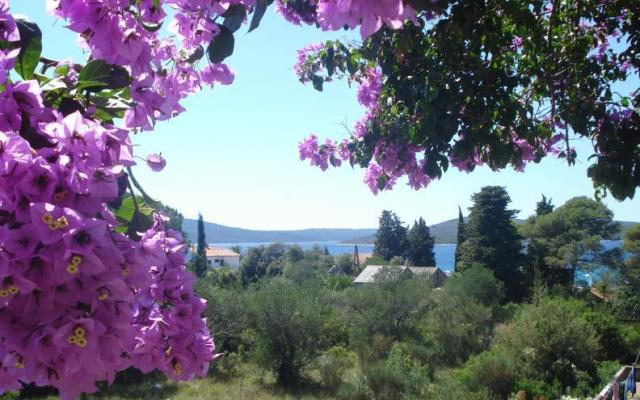 Apartmani Branko Vidaković – Hébergement île Ugljan Croatie