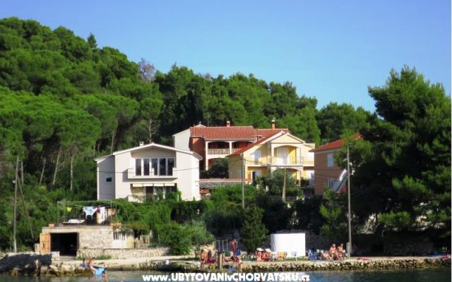 Apartmani Tereza – Hébergement île Ugljan Croatie
