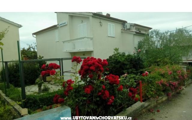 Appartements Tomislav – Hébergement île Ugljan Croatie