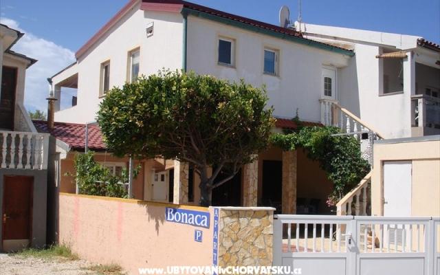 Appartement Marovic – Hébergement île Vir Croatie