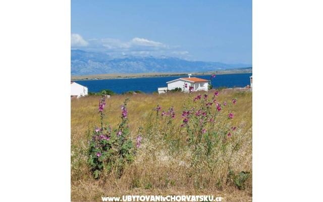 Appartements Mišković – Hébergement île Vir Croatie