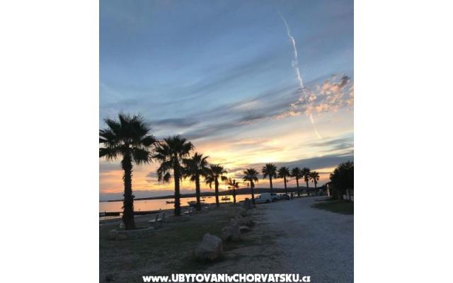 Appartements Robi – Hébergement île Vir Croatie