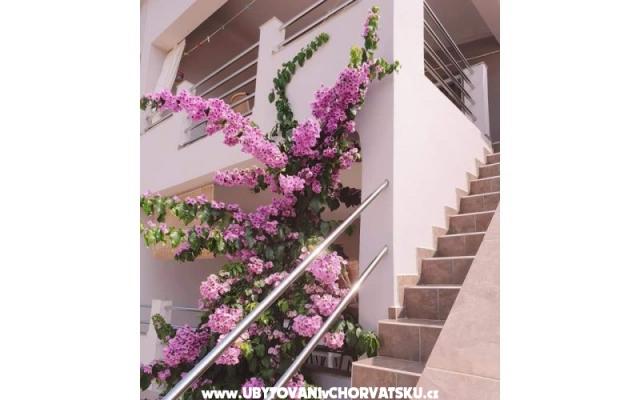 Apartmani Maja – Hébergement île Vir Croatie