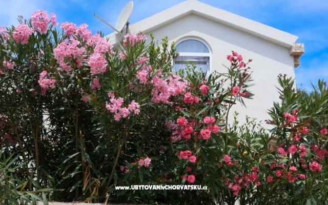 Appartements Podlesek – Hébergement île Vir Croatie