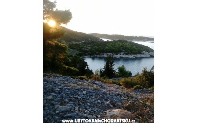 Appartements Bilić – Hébergement île Vis Croatie