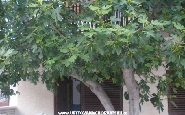 Apartmani  Smokva   – Hébergement Vodice Croatie