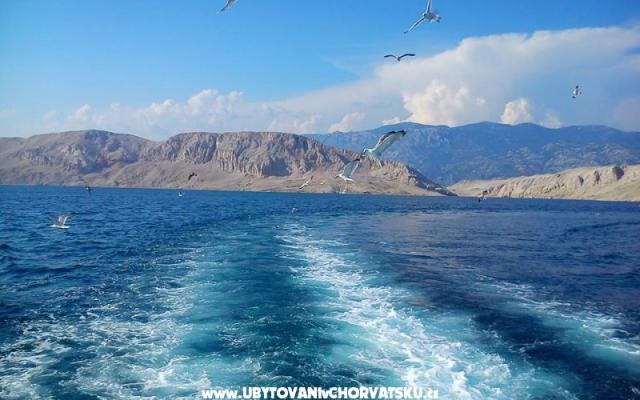 Appartements Joso i Stanka – Hébergement Zadar Croatie