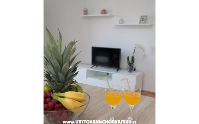 Appartement "Roko" – Hébergement Zadar Croatie