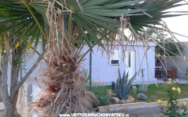 Studio apartment Ella Vrsi i apartm – Hébergement Zadar Croatie