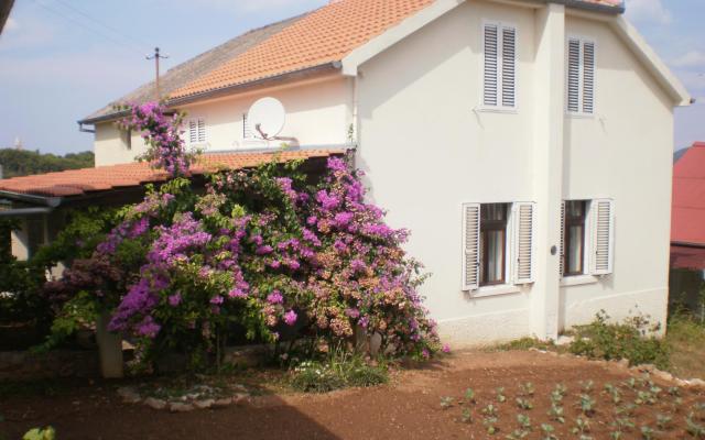 Maison Branka – Hébergement Zadar Croatie