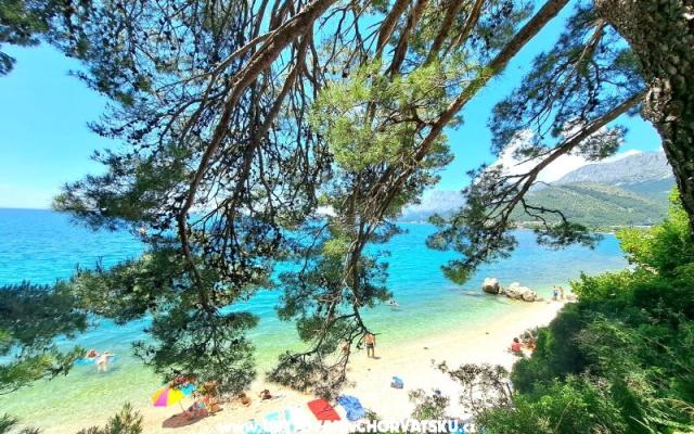 Kuća za odmor Burmaz - Zaostrog – Hébergement Zaostrog Croatie