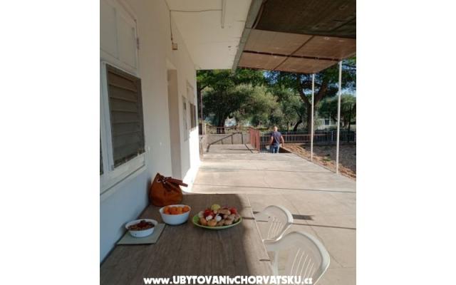 Appartement Viter – Hébergement Zaostrog Croatie