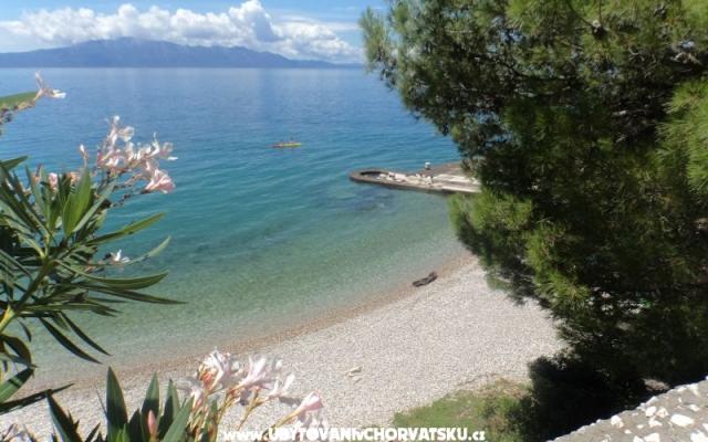 Appartements Dragičević – Hébergement Zaostrog Croatie