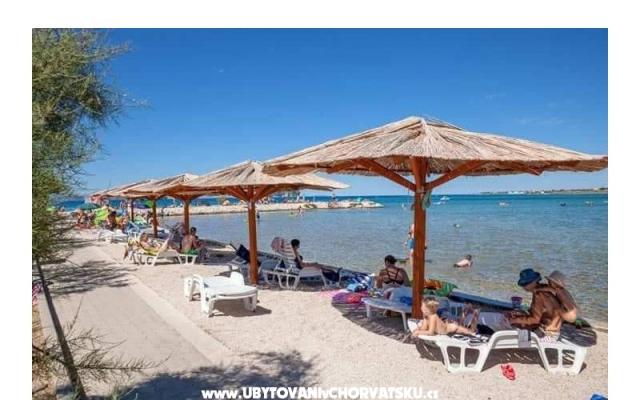 Appartements Ana Ercegović  – Hébergement Zaton Croatie