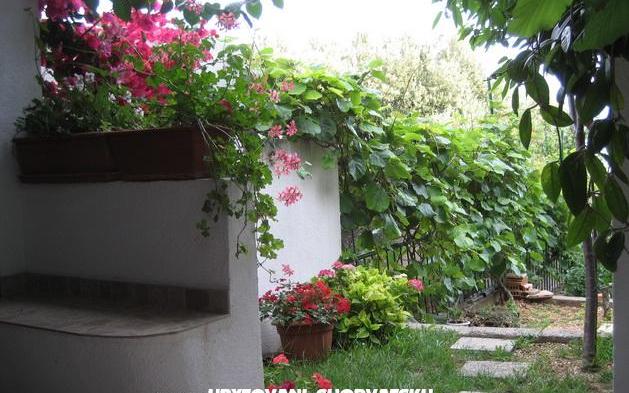 Apartmani Brajković – Hébergement Zivogosce Croatie