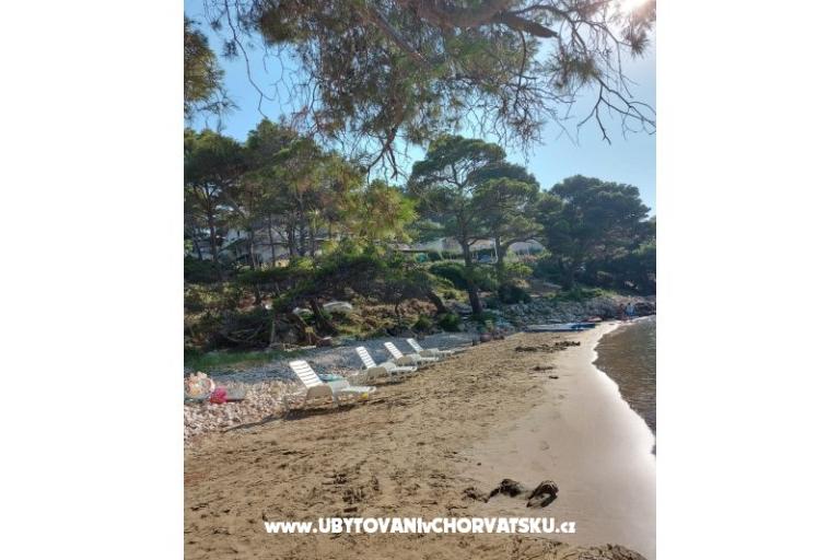 Appartements Ivo Mljet – foto 8