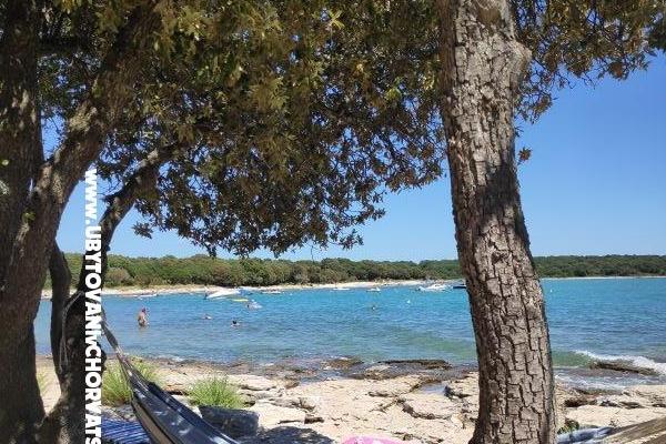 Appartement Mendula  – foto 15