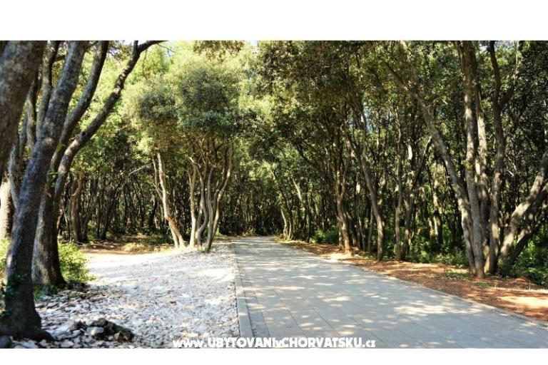 Appartements Lisicak – foto 8