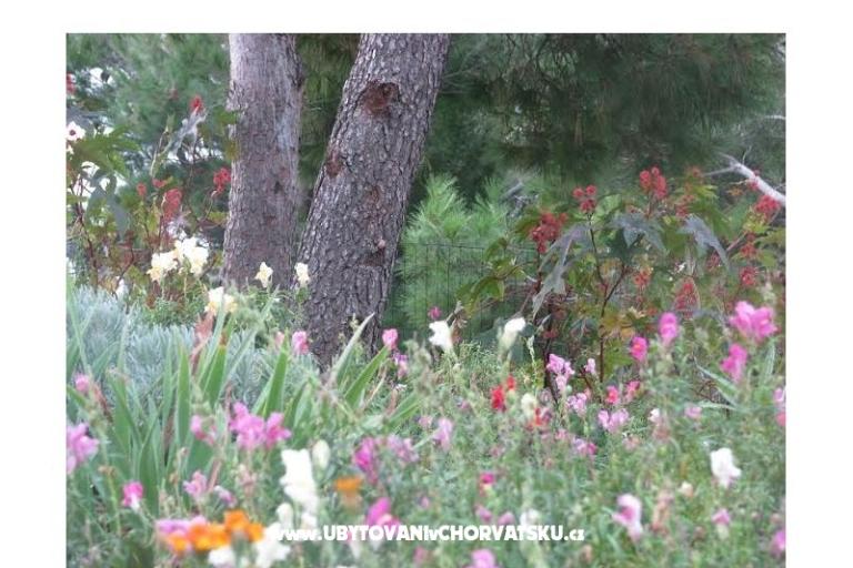 Ana Appartements – foto 10