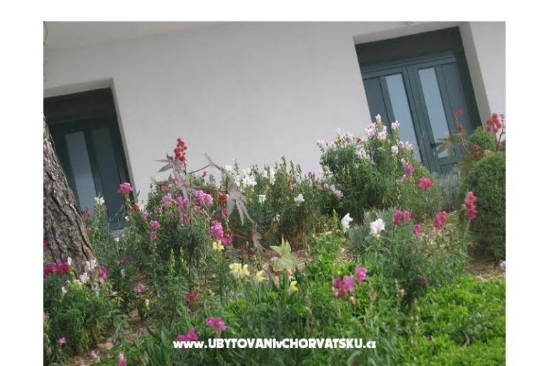 Ana Appartements – foto 11