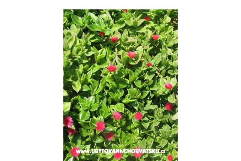 Ana Appartements – foto 12