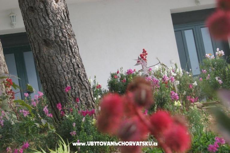 Ana Appartements – foto 18