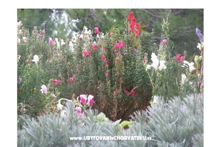 Ana Appartements – foto 9