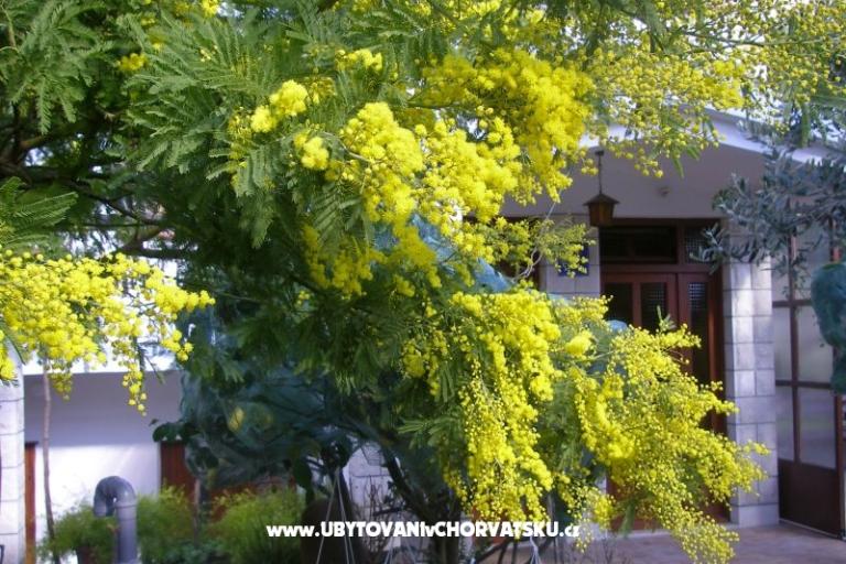 Appartements Bašković – foto 17