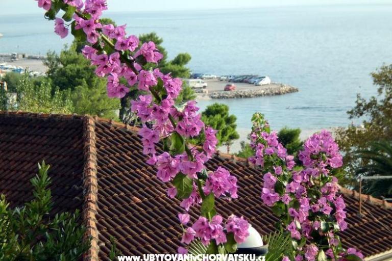 Appartements Jurišić – foto 17