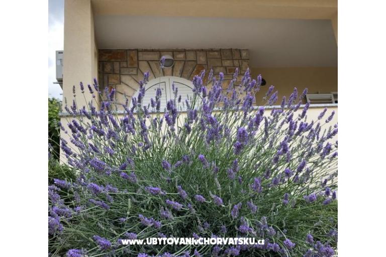 Appartements Iva – foto 10
