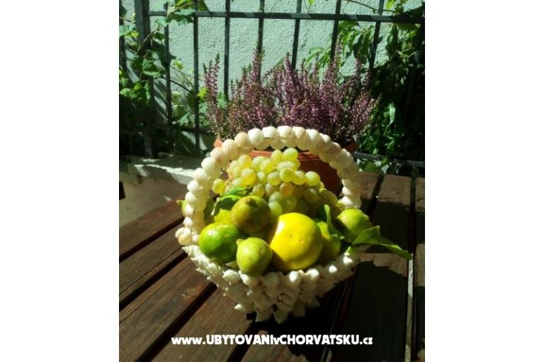 Appartements Pavić Promajna – foto 8