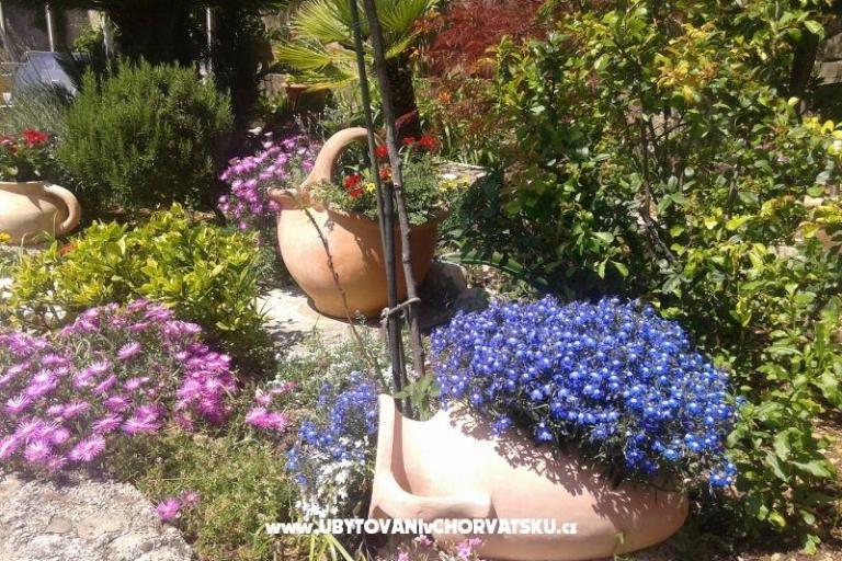 Appartements Sulic-Krvavica – foto 24