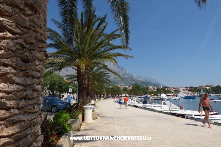 Appartements Ruza – foto 14