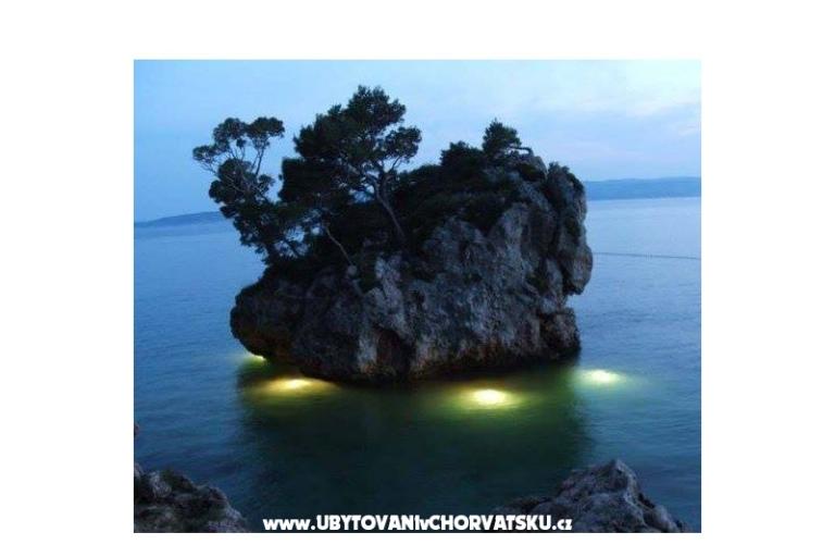 Appartements Mimoza – foto 16