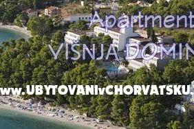 Appartements Mimoza – foto 8