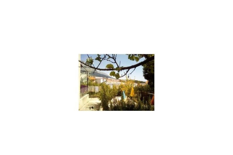 Elka – foto 11