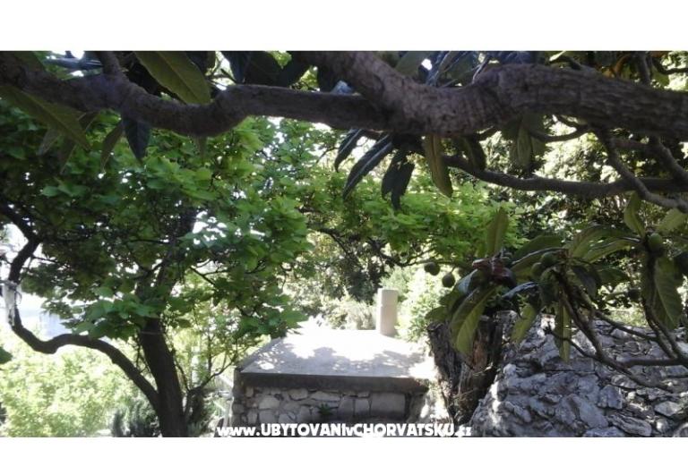 Elka – foto 18