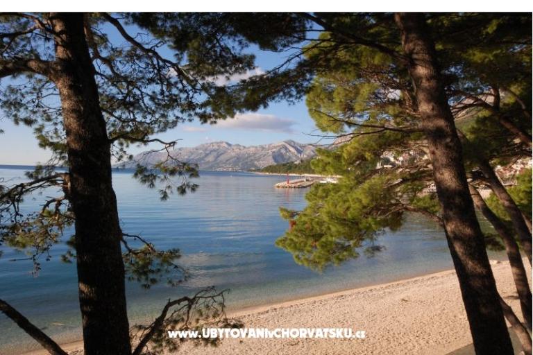 Maison Jurisic – foto 16