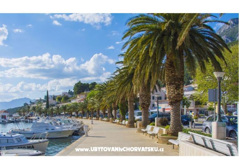 Maison Jurisic – foto 18