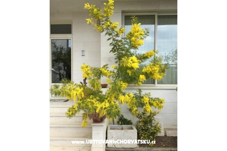 Maison Grazia – foto 7